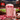 Vaso Tritan GERM x Coca-Cola 390ml / 13.2 Oz